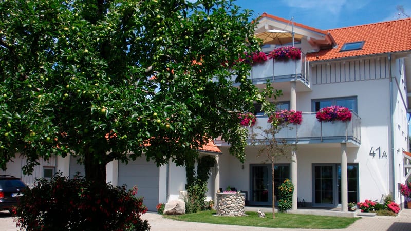 Das Haus mit Balkonen und Blumenkästen, davor ein großer Baum; an der Wand die Hausnummer 41a