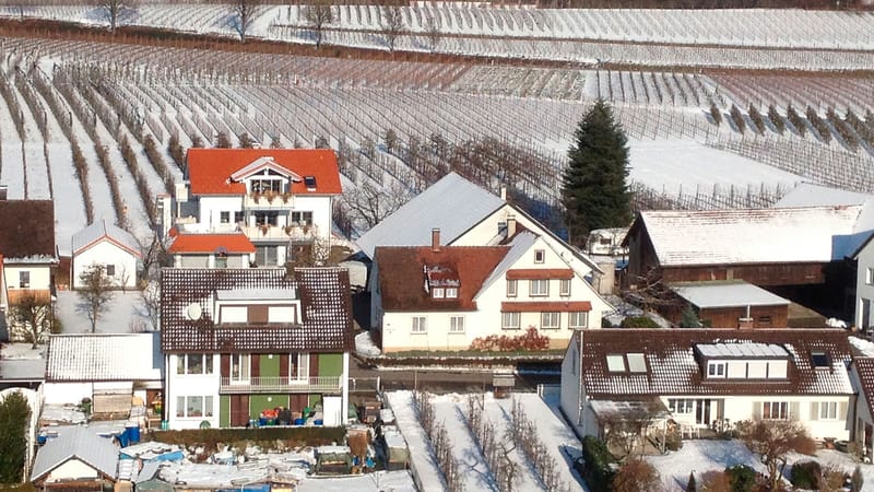Häuser am Sonnenbichl im Winter, dahinter Obstanlagen unter Netzen