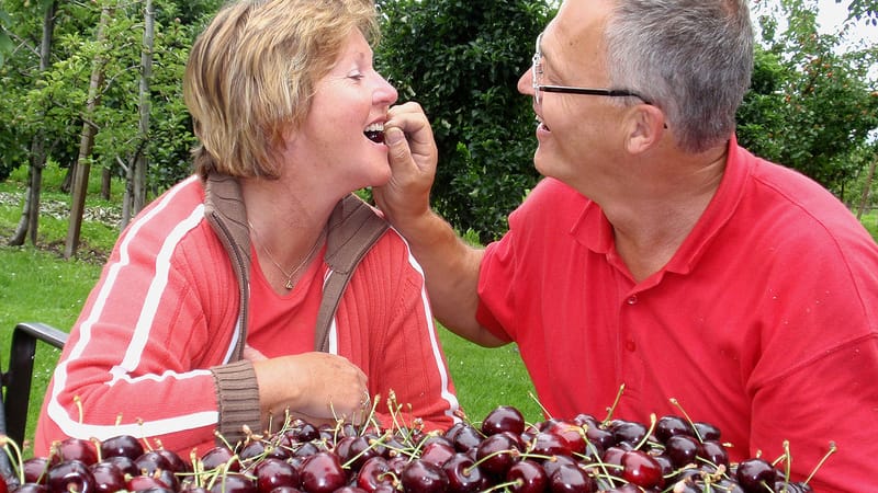 Eine Frau und ein Mann im Obstgarten; sie lässt sich von ihm eine Kirsche reichen, davor eine Schale mit Kirschen